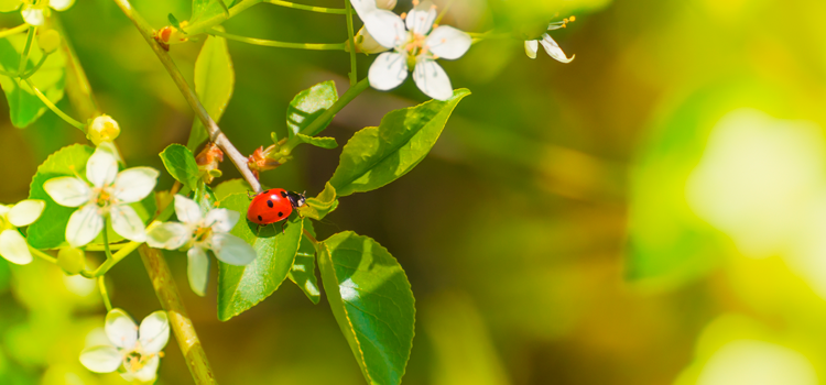 physio_paderborn_angebot-ostern